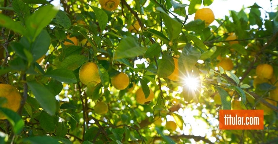 El posicionamiento web en el inbound marketing